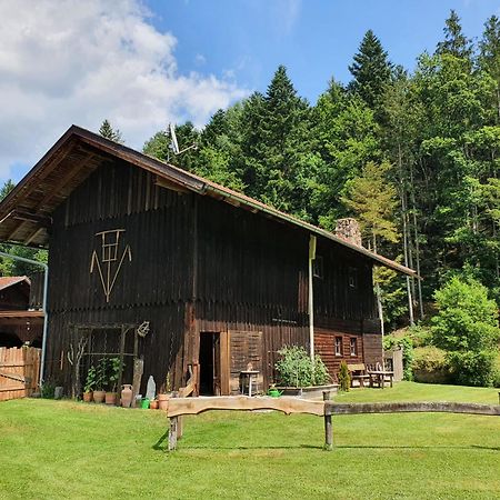 Naturidyll Kollnbergmuehle Furstenstein Luaran gambar
