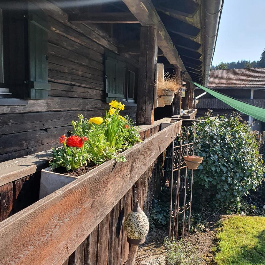 Naturidyll Kollnbergmuehle Furstenstein Luaran gambar