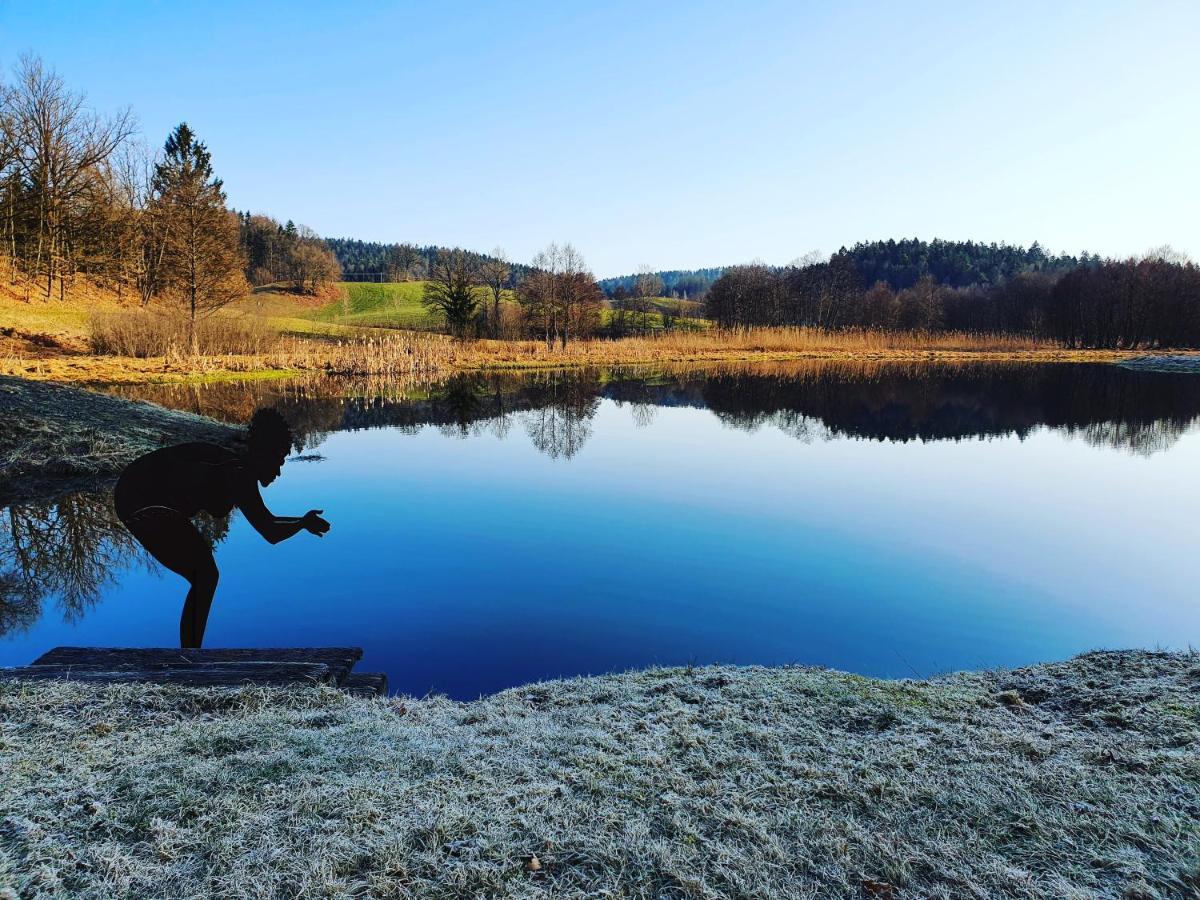 Naturidyll Kollnbergmuehle Furstenstein Luaran gambar