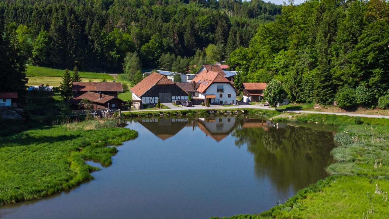 Naturidyll Kollnbergmuehle Furstenstein Luaran gambar