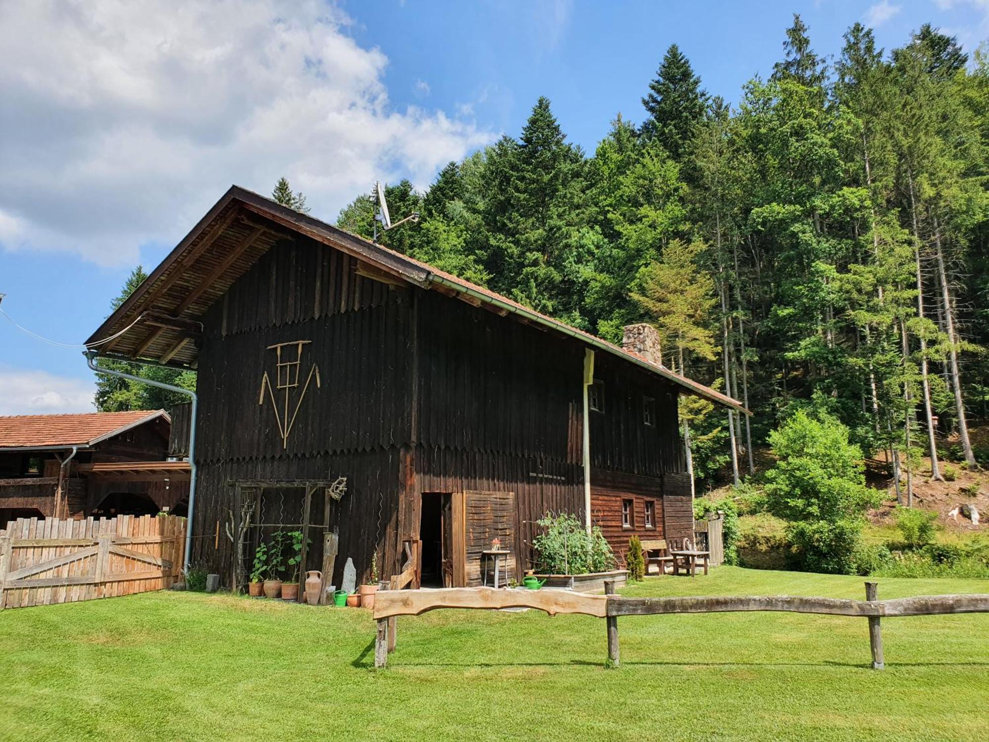 Naturidyll Kollnbergmuehle Furstenstein Luaran gambar